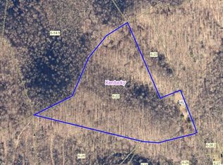 182 Dodger Rd, Canvas, WV 26662