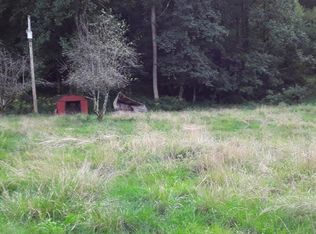 218 Big Pigeon Rd, Amma, WV 25005