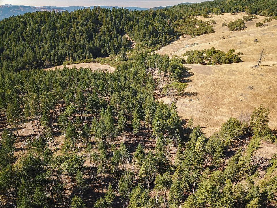 1st image of /80acre Bluff Creek Rd