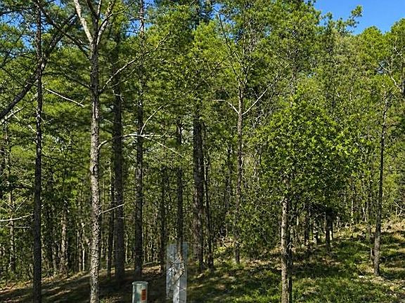 3rd image of 43 Western Maple Trl Lot 71