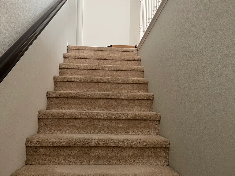 33442 Wallace Way — Photo 11