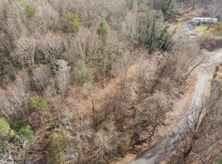 Jenkins Hollow Rd, Elizabethton, TN 37643