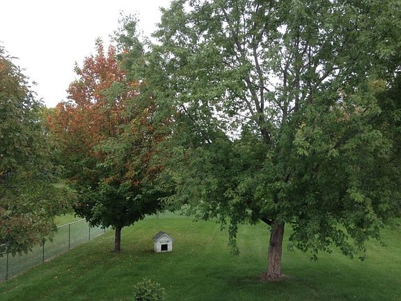Yard 2