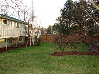 Big Manicured Backyard
