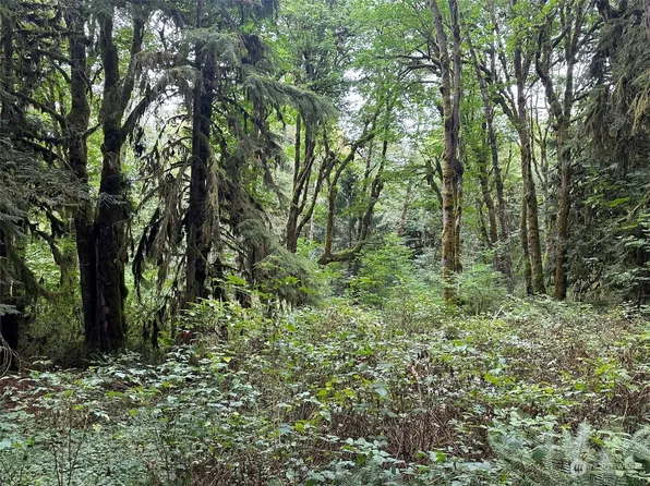 18 123rd Street NE, Arlington, WA 98223