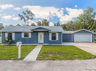 408 Nancy Cir, Port Orange, FL 32129
