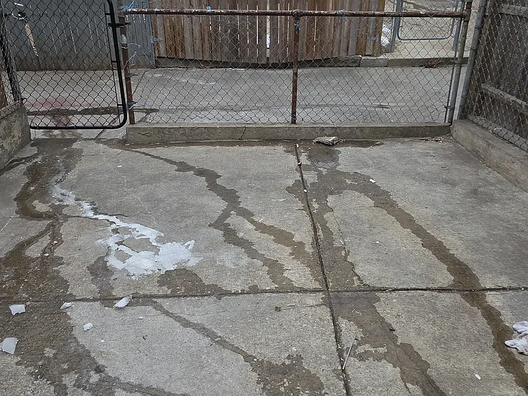 420 N Montford Ave — Photo 12