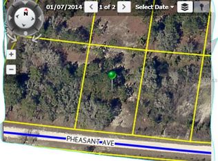 Pheasant Ave, Weeki wachee, FL 34614