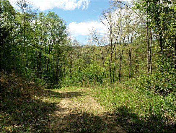 1st image of Spruce Pine Rd