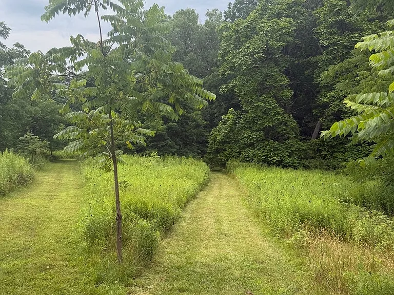 4709 Route 430 — Photo 11