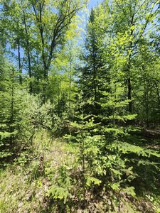 0 Rose Circle Dr, Lupton, MI, 48635