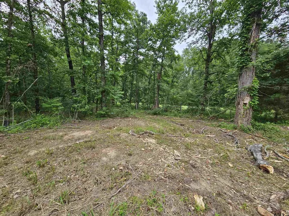 881 Hallsville Hts, Longview, TX 75602