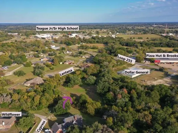 103 Wildflower Ln, Teague, TX 75860