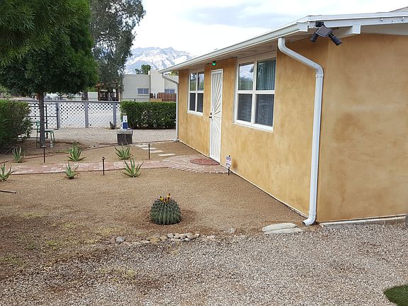 new landcaping/lighting