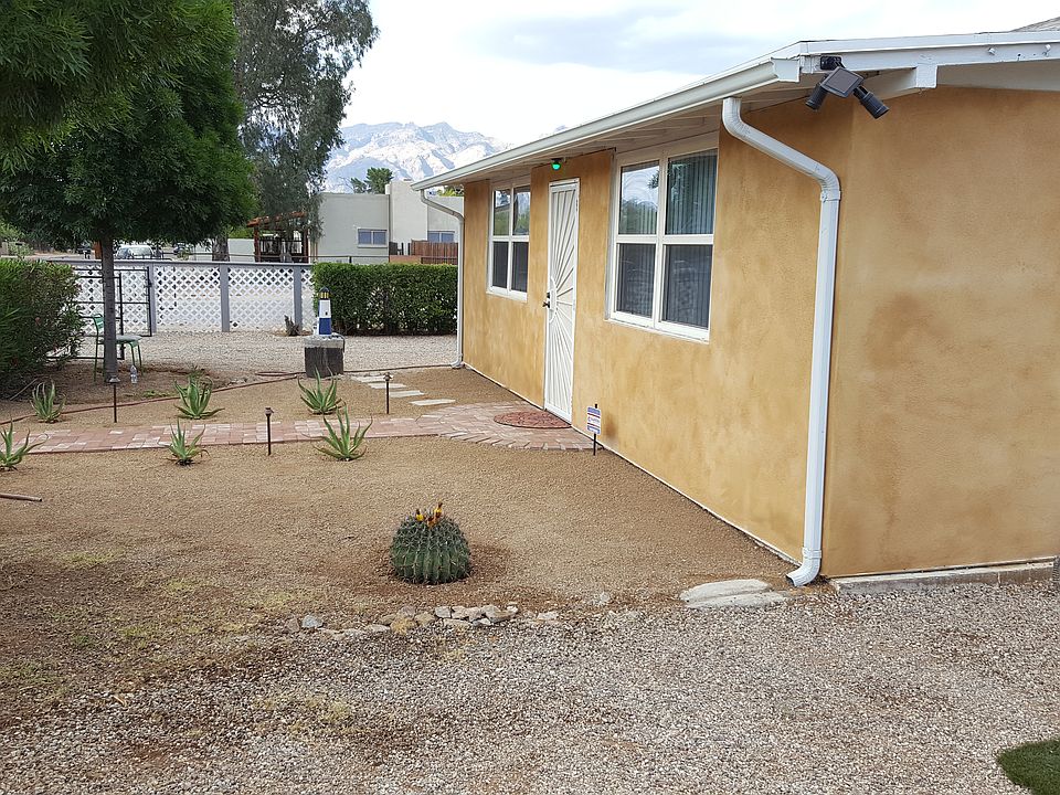 new landcaping/lighting