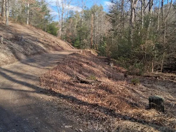 Gullion Fork Rd, Wytheville, VA 24382