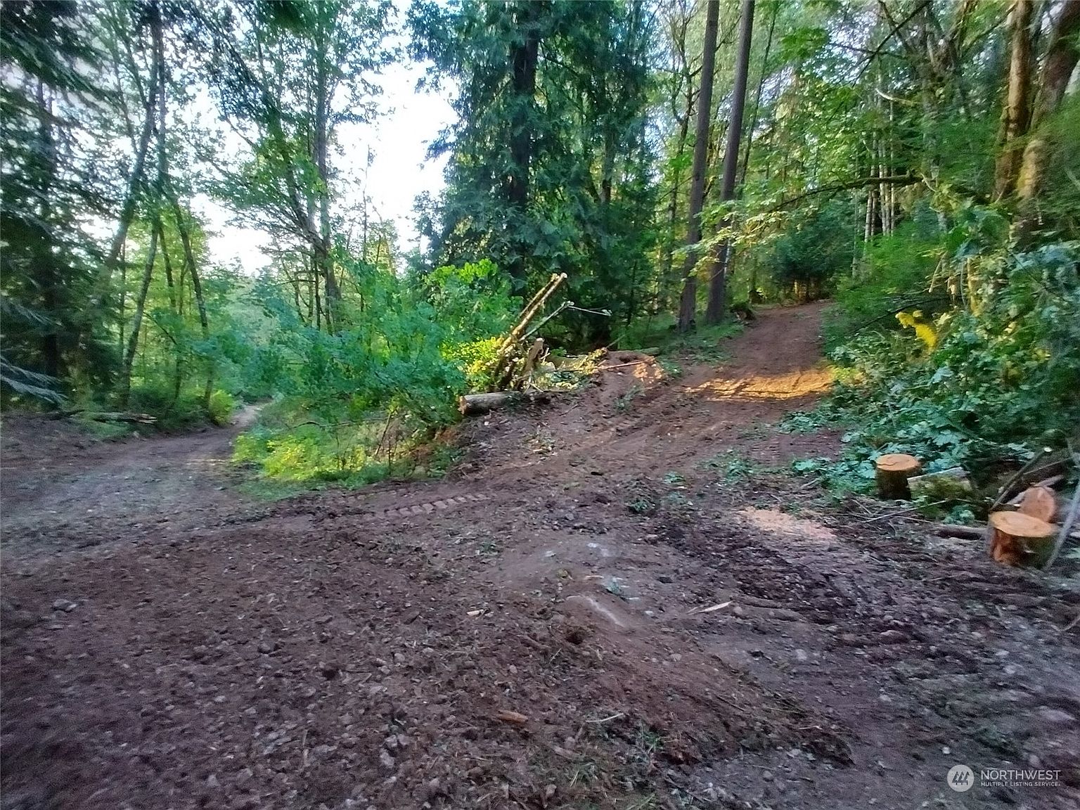 14615 274th Avenue SE, Issaquah, WA 98027 | Zillow