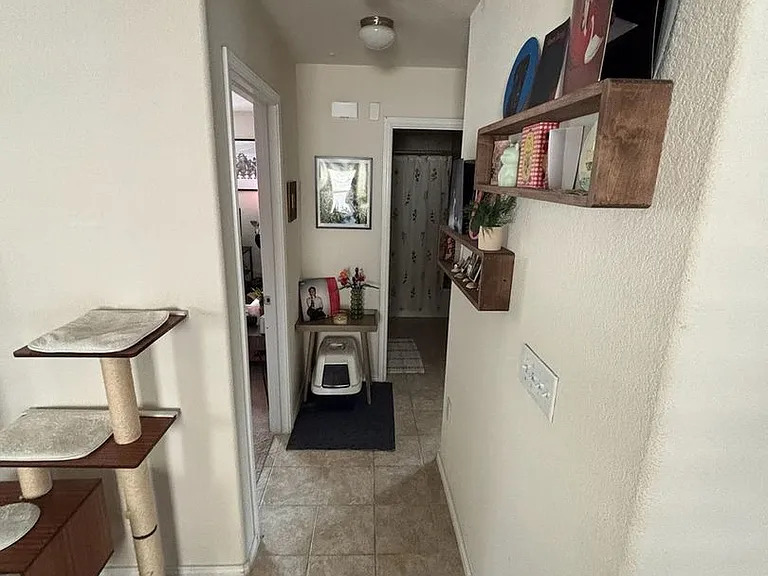 3509 Black Granite Dr — Photo 23