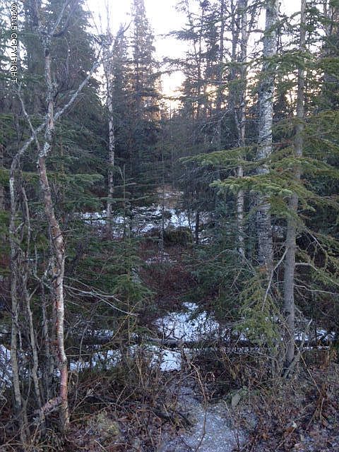 2nd image of 0 Pipeline Rd