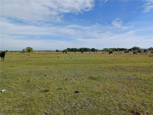 3615 Steve Roberts Special, Zolfo Springs, FL 33890