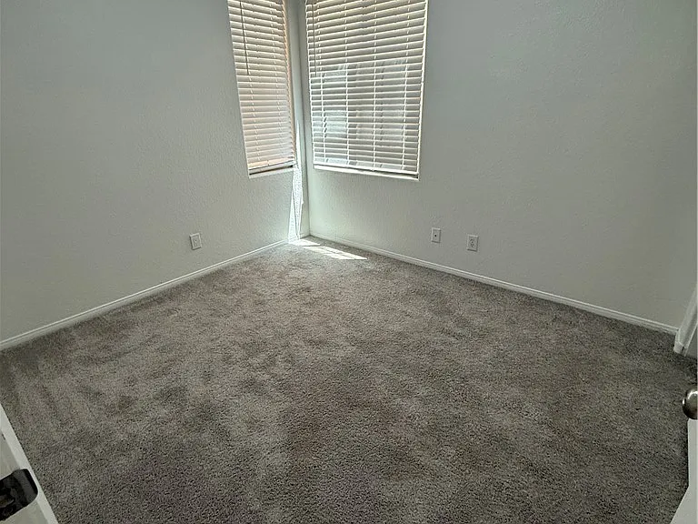 8301 Strawberry Spring St — Photo 5