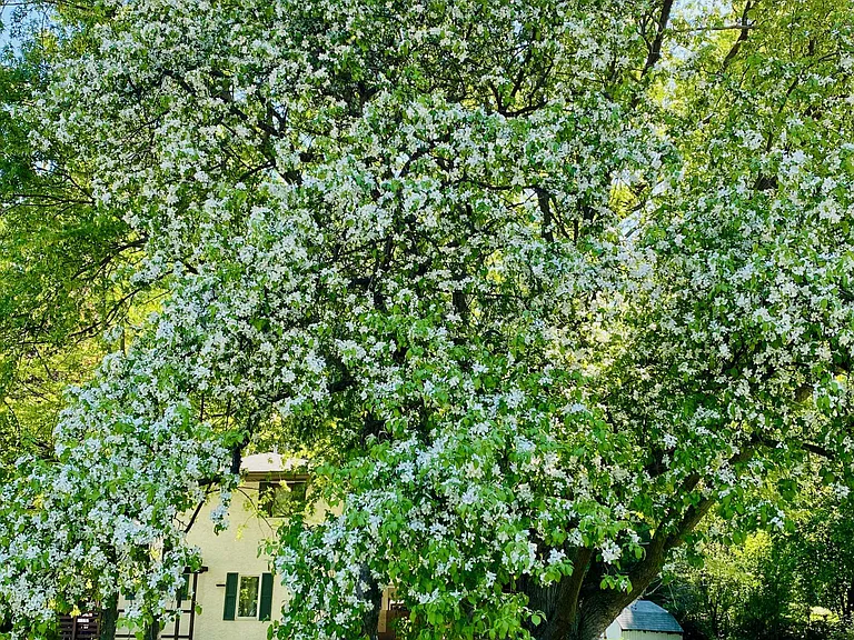 3491 Lake Johanna Blvd — Photo 75