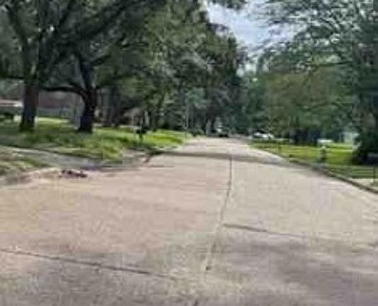 Exterior Neighborhood (street photo)