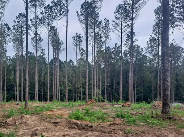 No 2 Hill Rd, Nauvoo, AL 35578