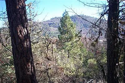 290 Rene Dr photo 1