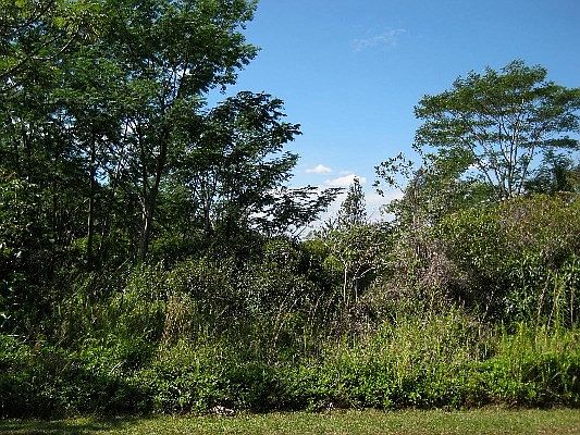 3rd image of 5th Ave Lot 2390