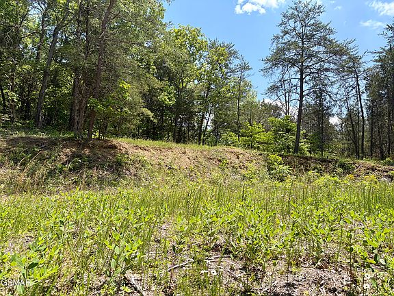 5th image of LOT 7 Burchfiel Way