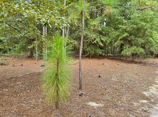 317 Richard Johnson Rd, Martin, SC 29836