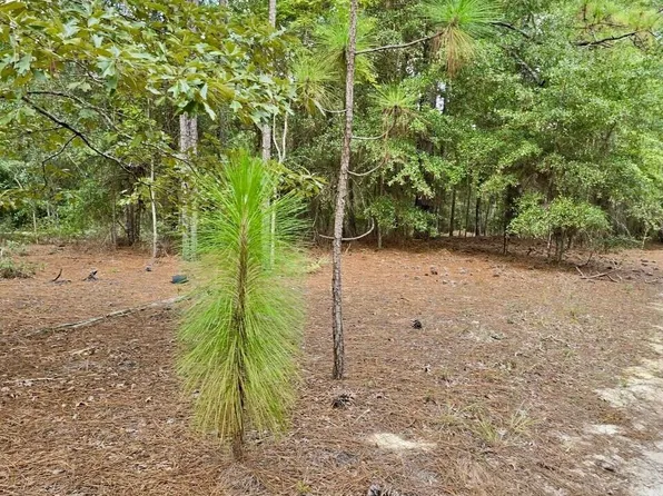 317 Richard Johnson Rd, Martin, SC 29836