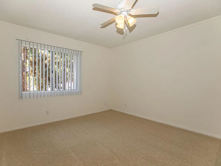 Country Woods Apartment Homes — Photo 27