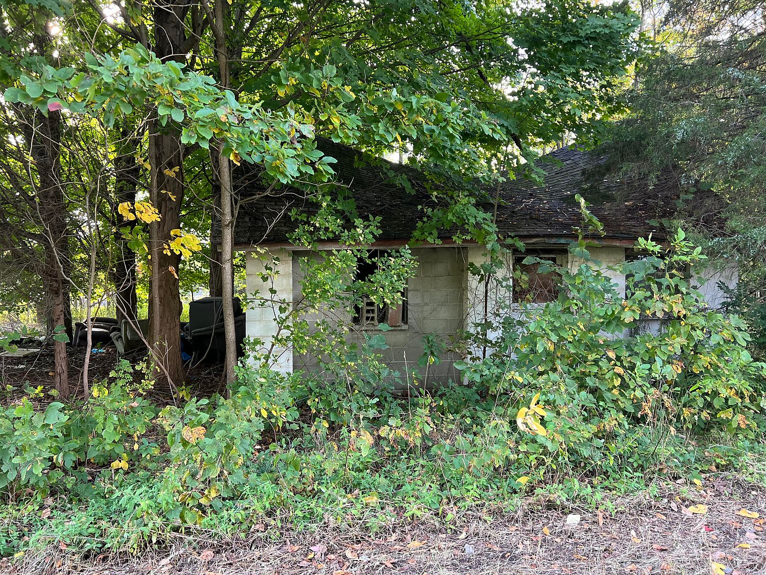 498 56th St, Grand Junction, MI 49056 Zillow