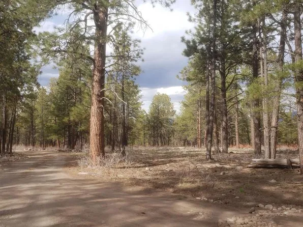 334 Wood Sorrel Lane, Montrose, CO 81403