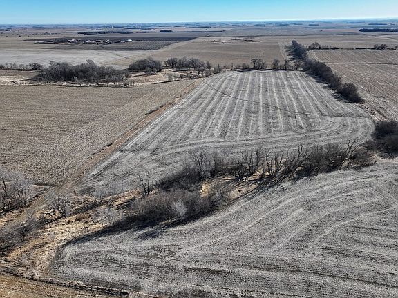 Dji 20260226093644 0003 D Talltines