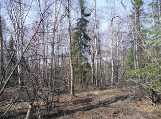NHN White Birch Rd, Salcha, AK 99714