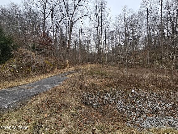 2nd image of Wilderness Rd