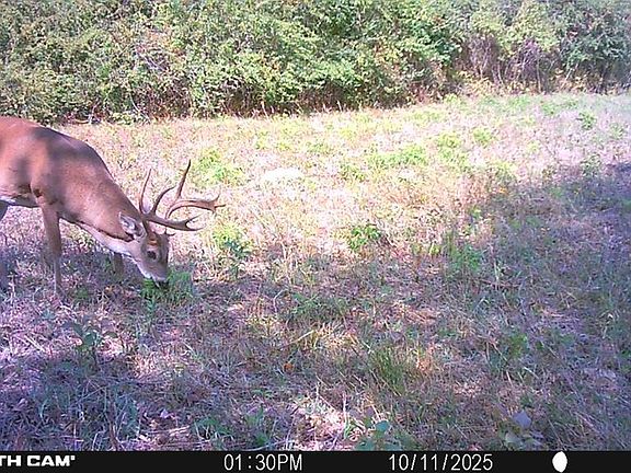 2nd image of 0 County Road 4151