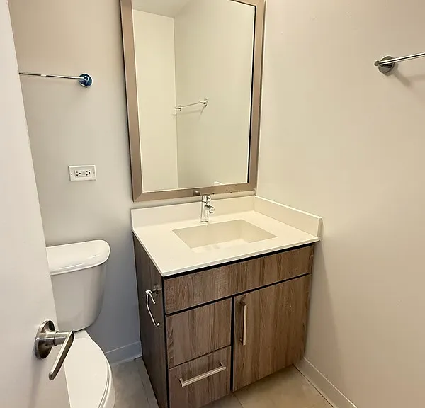 1511 S Laflin St — Photo 3