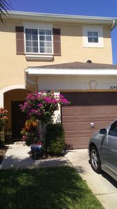 20460 Needletree Dr, Tampa, FL, 33647