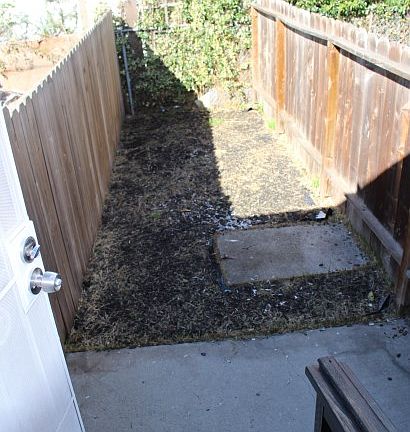 4th image of 3235 61st Ave