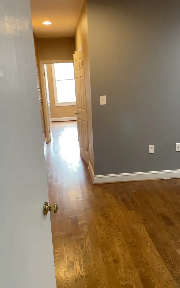 1 bed, 650 sqft, $1,350 — Photo 1