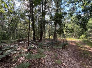 V/l 55a Holton Duck Lake Rd, Holton, MI 49425