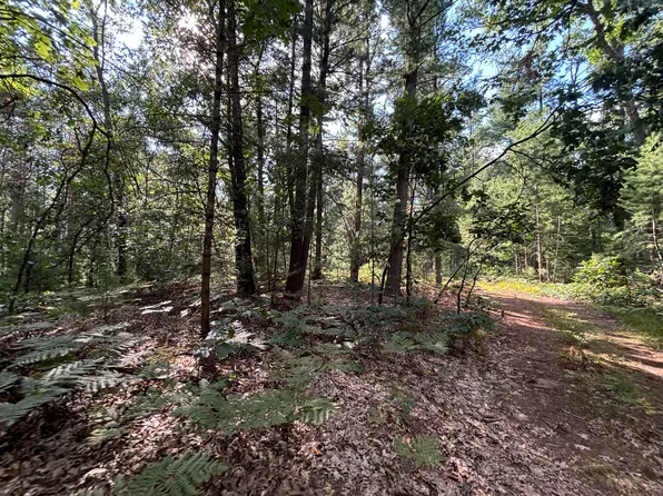 V/l 55a Holton Duck Lake Rd, Holton, MI 49425
