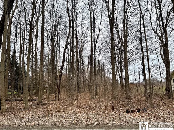 0 Chestnut Rd #40, Dunkirk, NY 14048