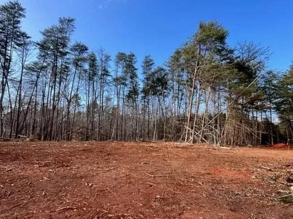 0 McDaniel Rd, Pilot Mountain, NC 27041