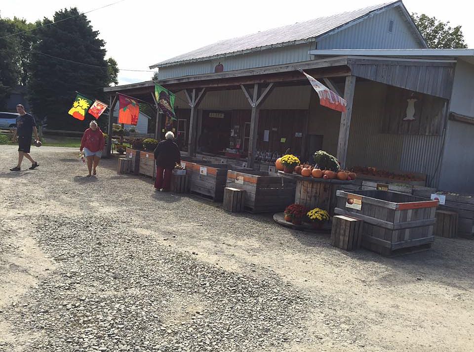 1st image of 6556 Lexington Road -  Boyce Fruit Farm