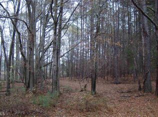 Lower River Rd, Covington, GA 30016